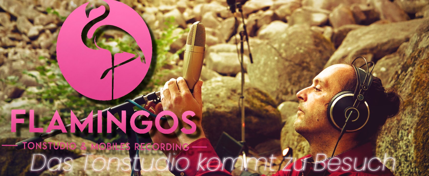 Flamingos – Tonstudio & Mobiles Recording – Das Tonstudio kommt zu Besuch!