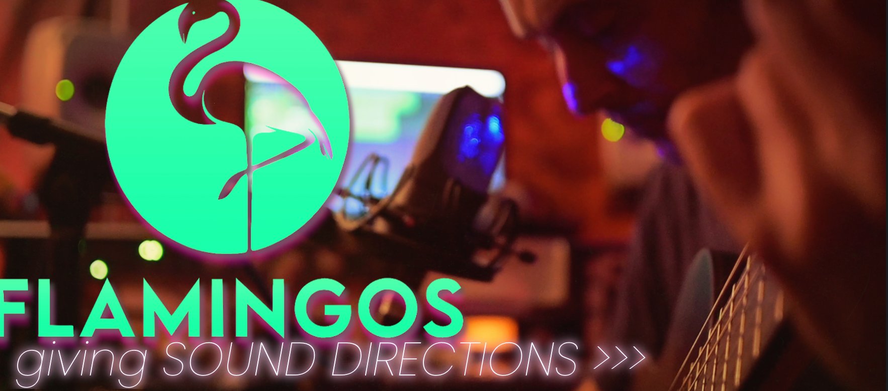 Gitarrenaufnahme im Flamingos-Tonstudio – giving Sound Directions