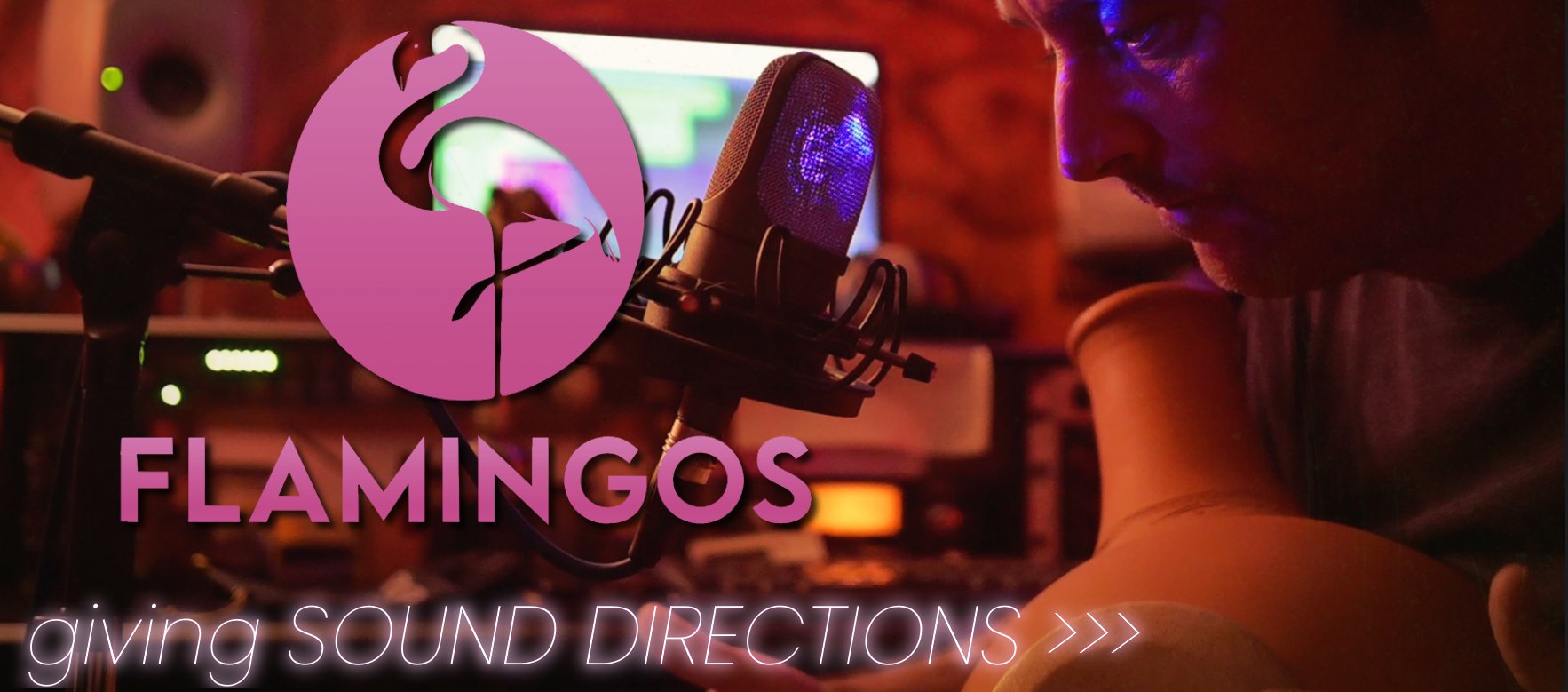 Audio-Engineer am Mikrofon im Flamingos-Tonstudio – giving Sound Directions